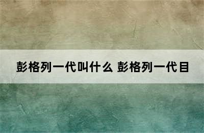 彭格列一代叫什么 彭格列一代目